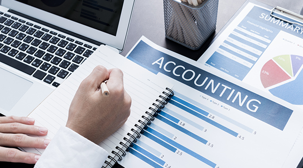 accounting consulting services